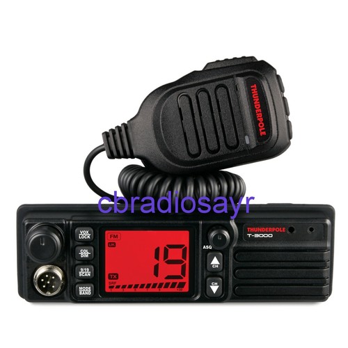 Thunderpole 3000 12 24 - am/fm, 12/24